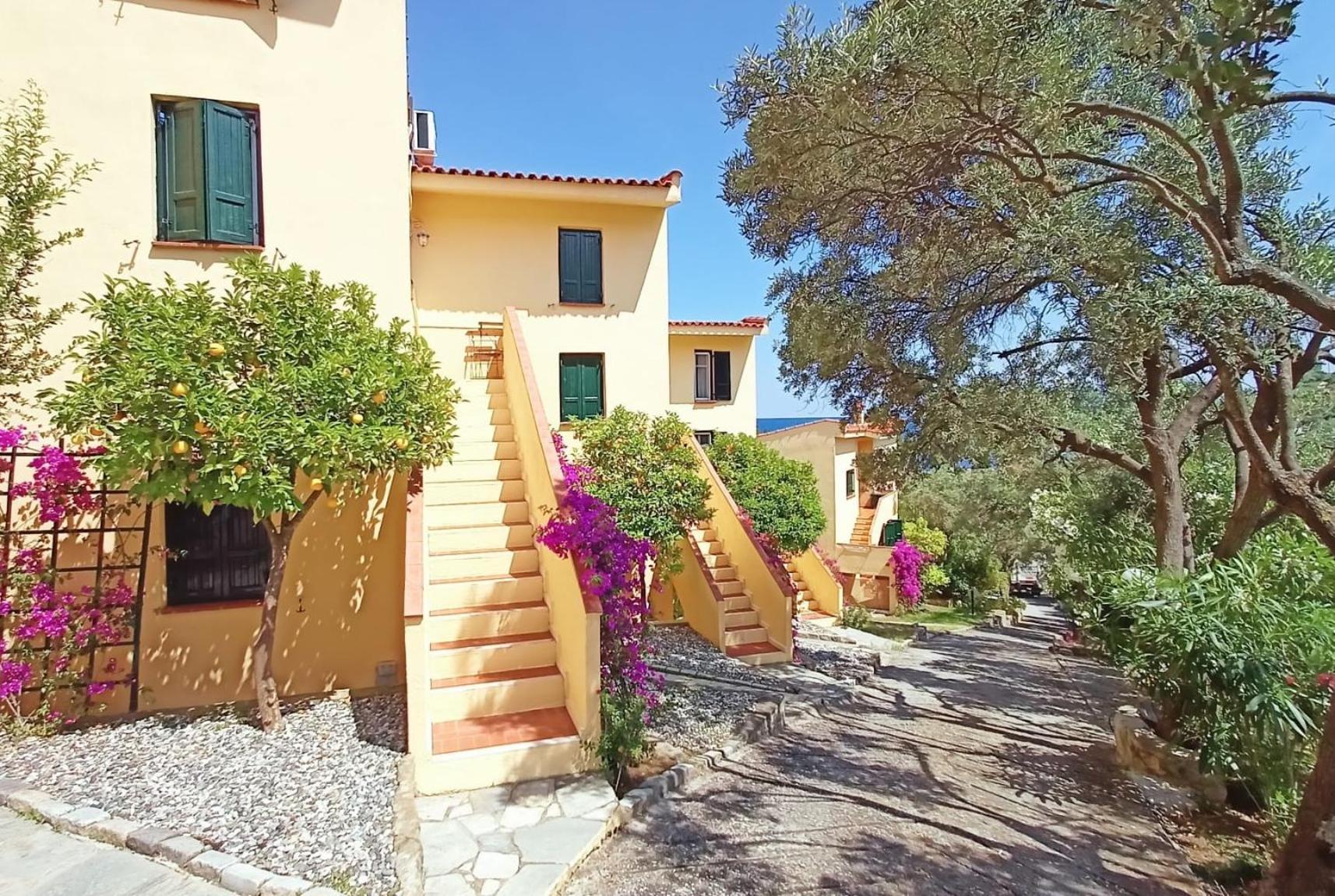 The Yellow Daire Ayos Nikolaos